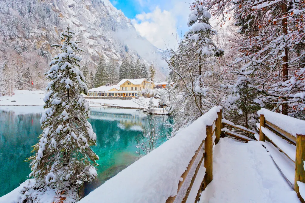 Bern + Blausee - Capital & Alpine Lake - Photo 3