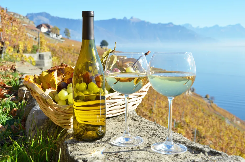 Montreux + Vevey - Lake Geneva Beauty - Photo 5